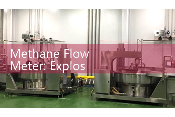 Methane Flow Meter: Explosion-Proof Gas Mass Monitoring Tools for Biogas Plants